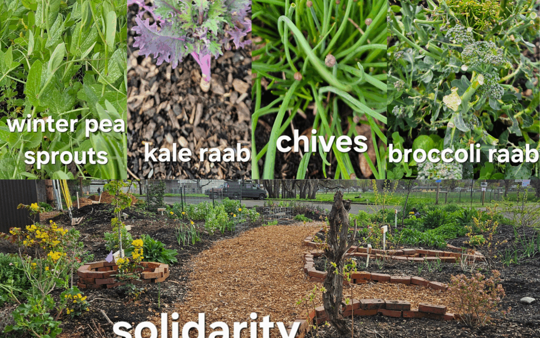 Resistance is Fertile in the Solidarity Garden