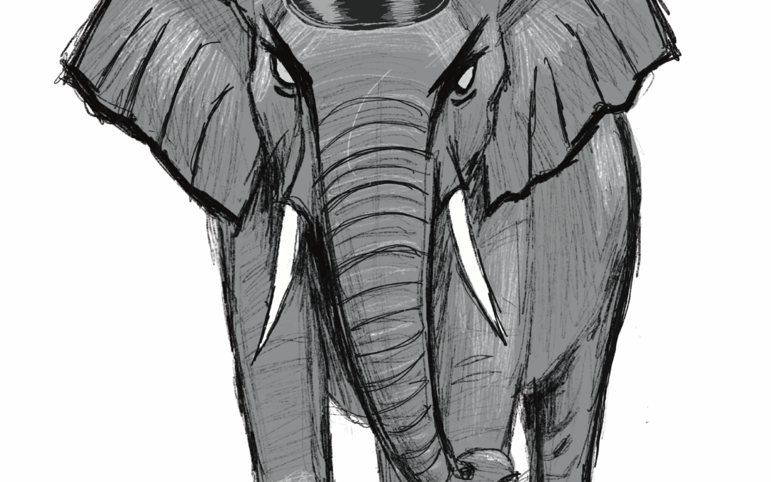Solidarity in Resistance: Definition of Terms and the Elephant in the Room