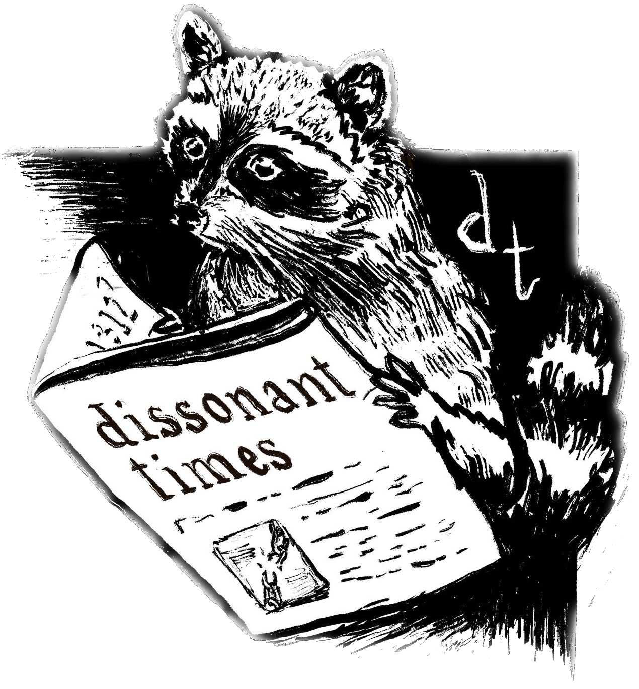 nobgraccoon4websute
