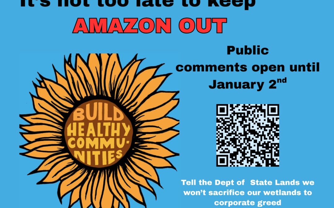 Stop Amazon from Destroying Our Wetlands
