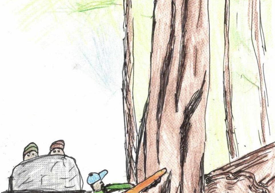 Life or Limb? On the Use and Misuse of Hazard Tree Designations
